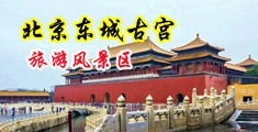 男人操女人免费视频中国北京-东城古宫旅游风景区